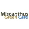 MISCANTHUS GREEN CARE