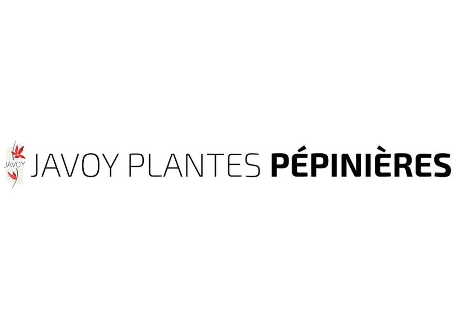 JAVOY PLANTES