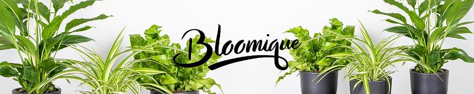 Bloomique