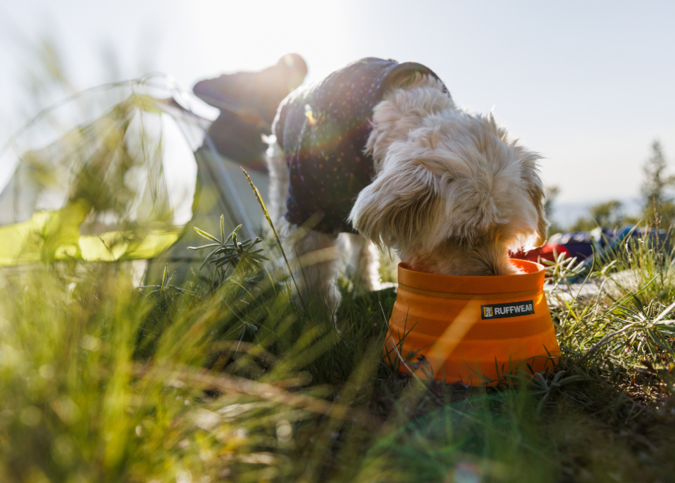 Ruffwear - Accapi