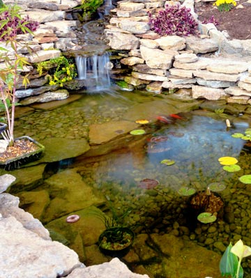 Pompe pour bassin : les 5 meilleures pompes - Top Jardin